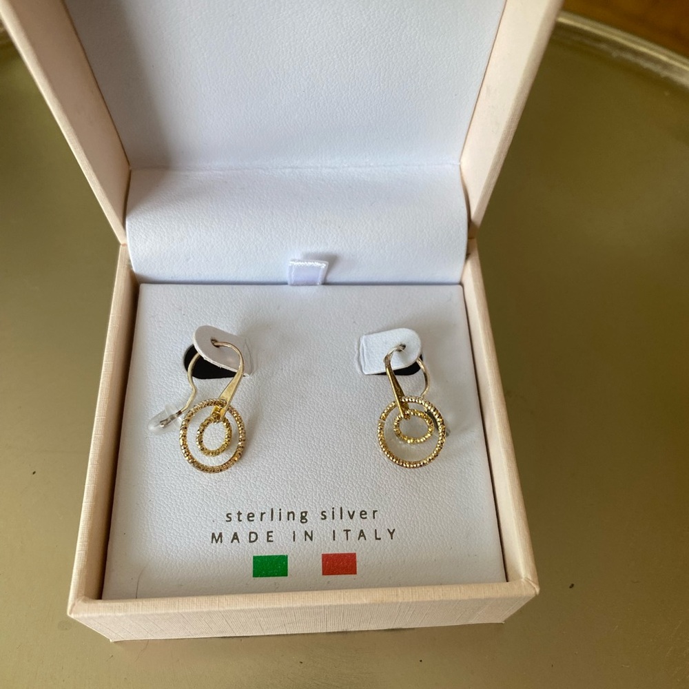 Elegant Gold and Silver Hoop Earrings